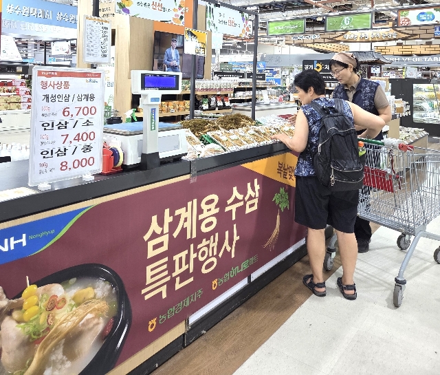 농협, 삼복 앞두고 ‘삼계용 수삼’ 특별 할인 대표 이미지